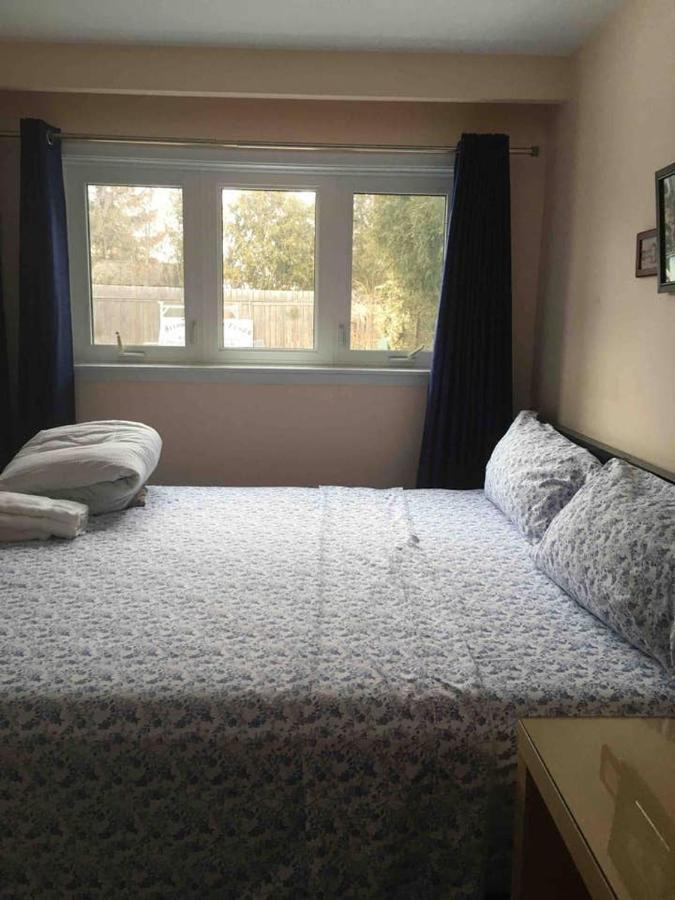 Freeda'S Place Торонто Экстерьер фото