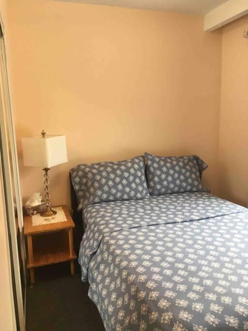 Freeda'S Place Торонто Экстерьер фото